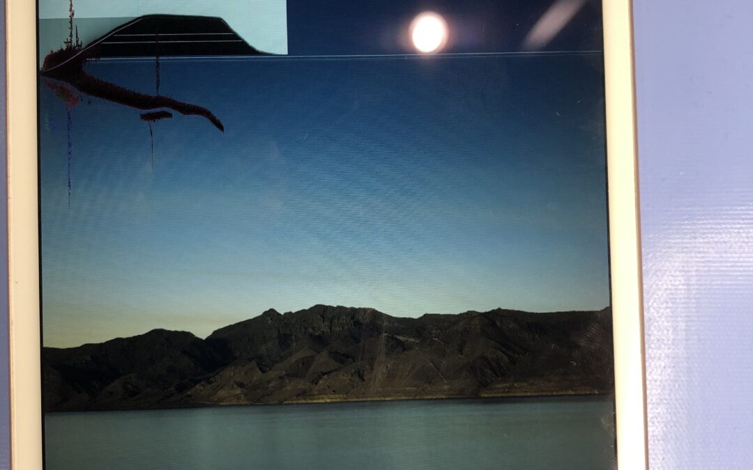 iPad mini5 画面パネル交換｜表示不良も丁寧に修理対応！